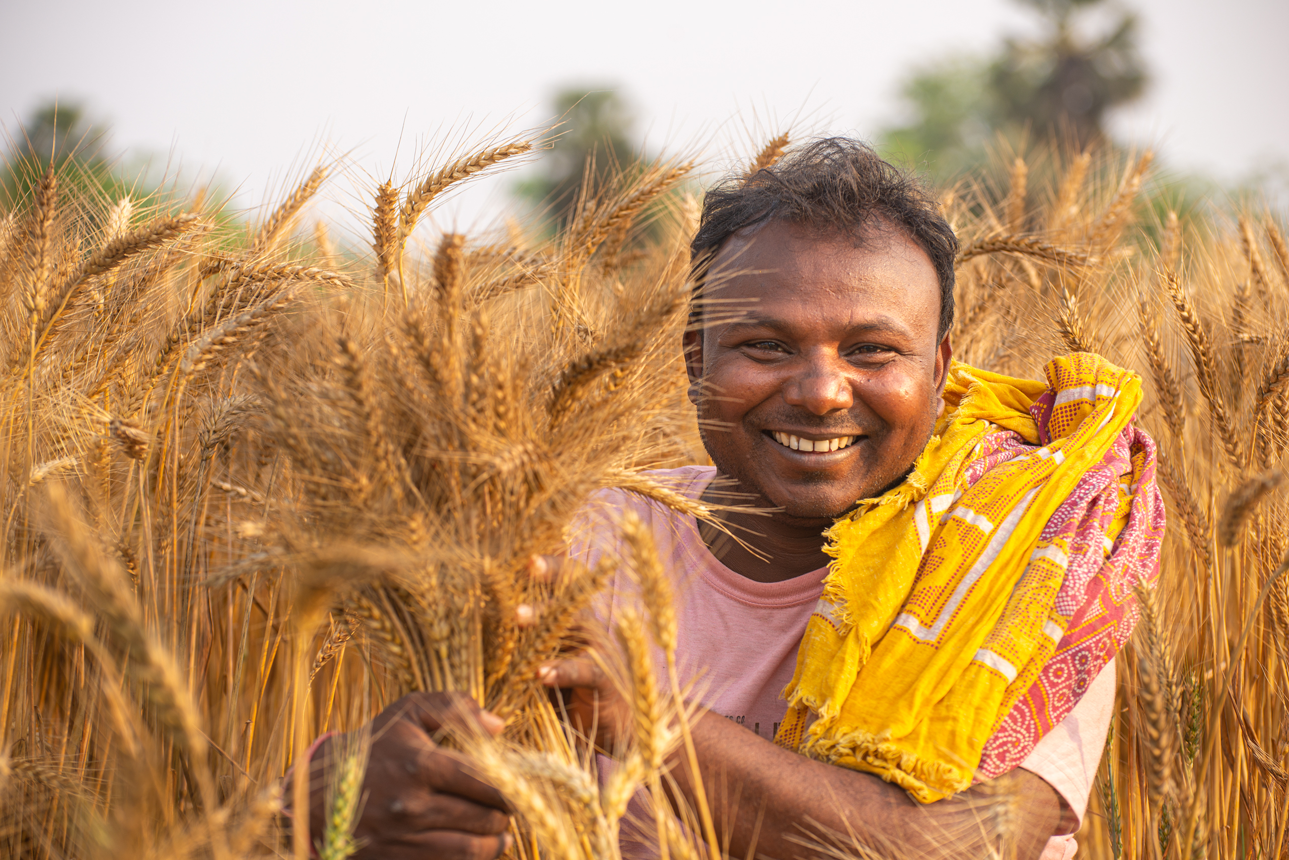India’s farmers feed billions of people, while fighting pest and weather related uncertainties. Is it too much to ask them to change their behavior and help support air quality with the food they grow? (Photo: Dakshinamurthy Vedachalam/CIMMYT)