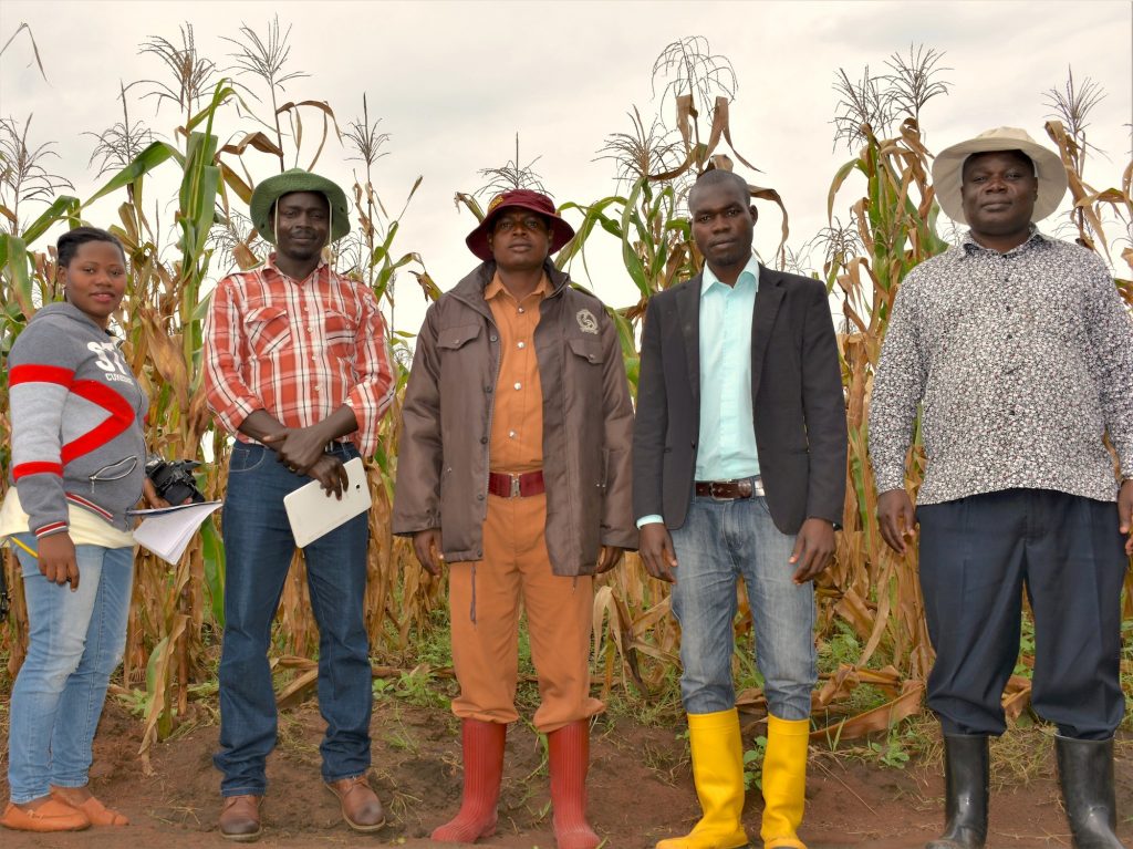 From left to right: Winnie Nanteza, National Crops Resources Research Institute (NaCCRI) communications officer; Daniel Bomet, NARO maize breeder; Byakatonda Tanazio, Assistant Superintendent of Prisons, Lugore Prison, Gulu; Aniku Bernard, Farm Manager at Lugore Prison; and Godfrey Asea, director of NaCRRI, stand for a group photo at the foundation seed production farm inside Lugore Prison. (Photo: Joshua Masinde/CIMMYT)