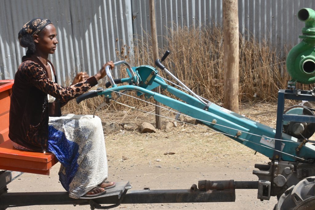 Zewdu Tesfaye drives a two-wheel tractor to the irrigation area. (Photo: Simret Yasabu/CIMMYT)