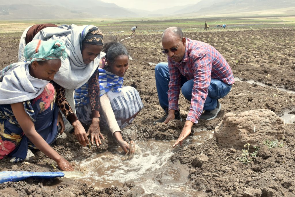 Belay Tadesse shows young women from Dellet how the water should flow. (Photo: Simret Yasabu/CIMMYT)