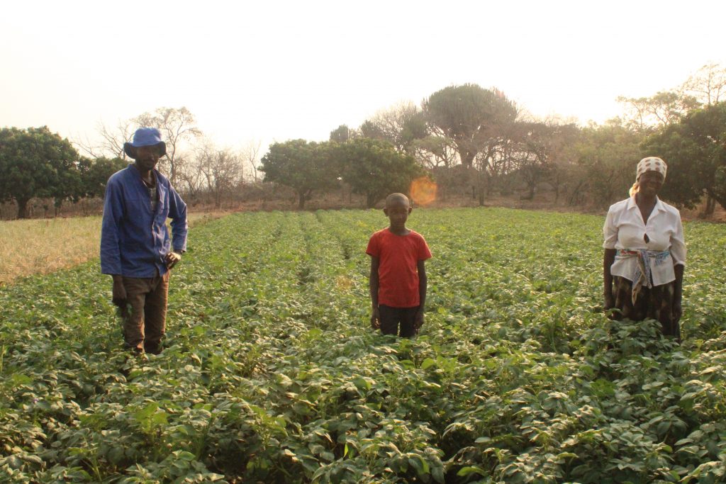 Michael Duri stands with his son and mother next to his potato field in Nyanga, Zimbabwe. (Photo: Shiela Chikulo)