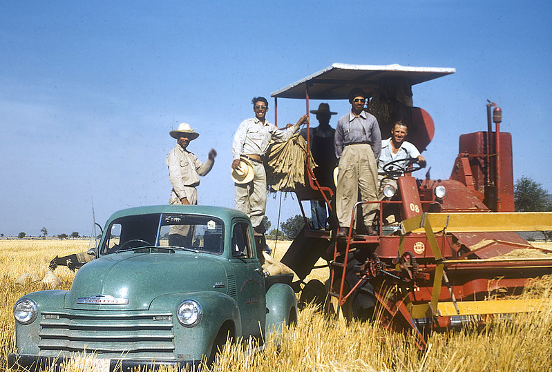 Norman Borlaug sits on a tractor next to field technicians in Sonora, Mexico. (Photo: CIMMYT)