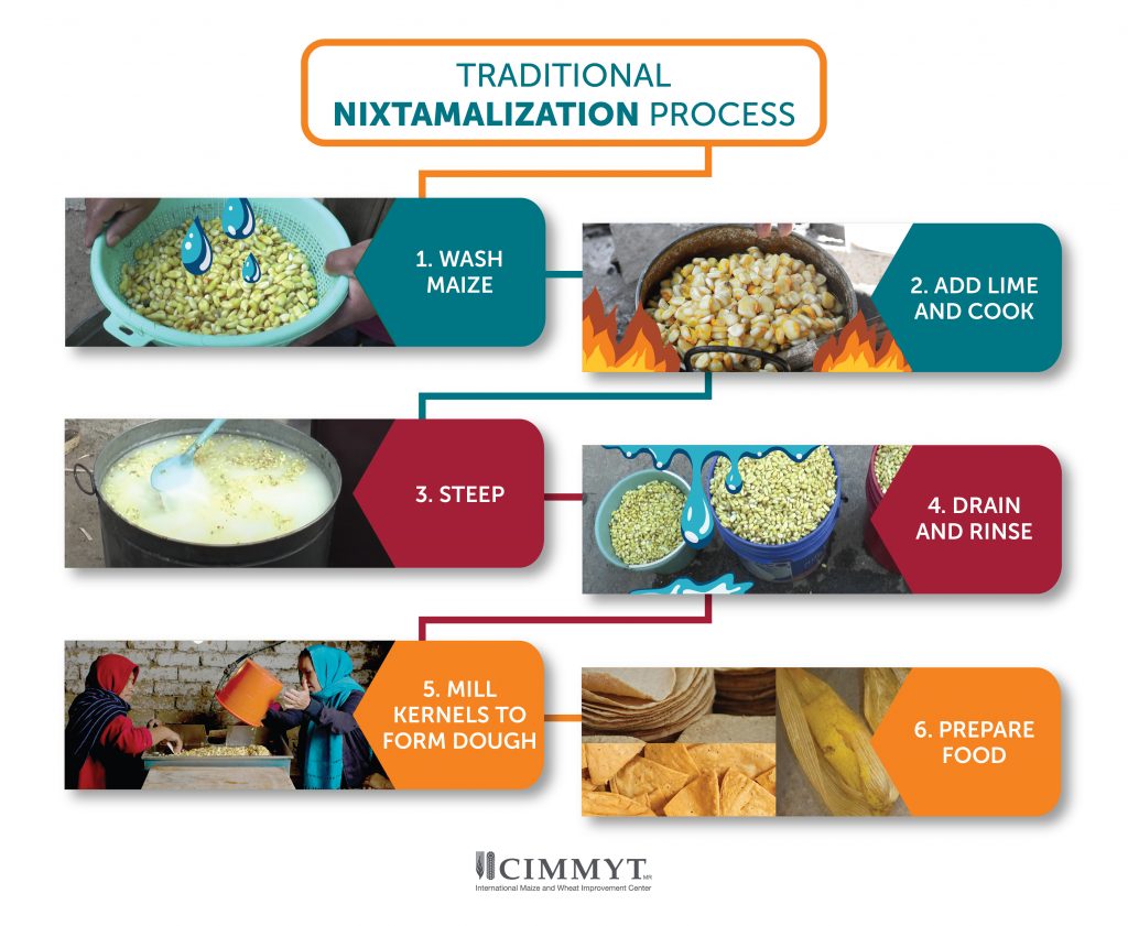 Key steps of the traditional nixtamalization process. (Graphic: Nancy Valtierra/CIMMYT)