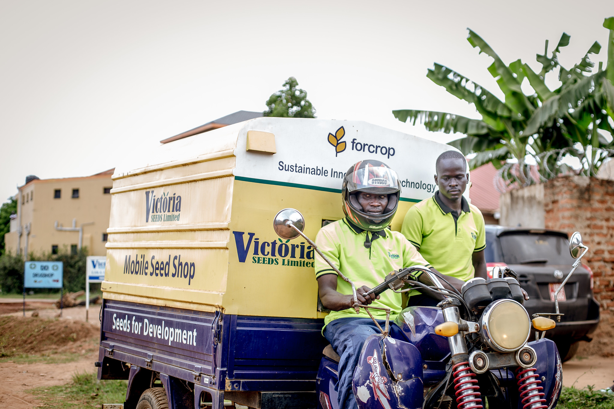 La tienda móvil de semillas de Victoria Seeds Company facilita el acceso a variedades mejoradas de maíz a los agricultores de aldeas remotas de Uganda. (Foto: Kipenz Films for CIMMYT)