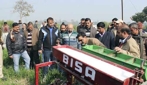 The Director of Agriculture (3rd from left) and the District Collector (2nd from right) view a demonstration of urea drilling in a standing wheat crop. Photo: Manish Kumar/CIMMYT