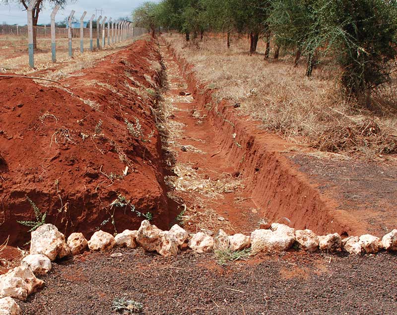 Water Efficient Maize for Africa » CIMMYT. International Maize and