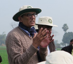 R.K. Malik, senior agronomist with the Sustainable Intensification Program at CIMMYT is winner of the 2015 Crawford Fund Derek Tribe Award. CIMMYT/handout