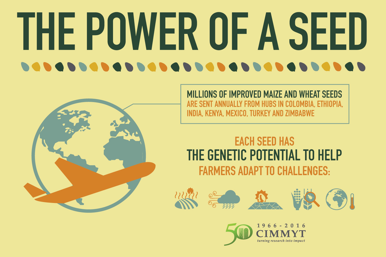 Germplasm Research | CIMMYT. International Maize and Wheat Improvement ...