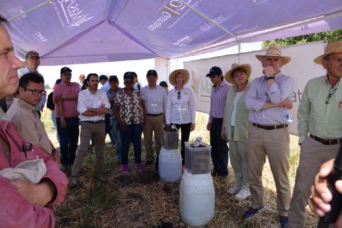 CIMMYT's Board of Trustees members met with stakeholders on a recent visit to Mexico. Photo: CIMMYT archives