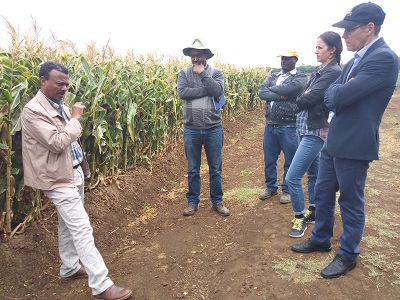 NuME project leader briefing the delegation from Global Affairs Canada on QPM seed production.