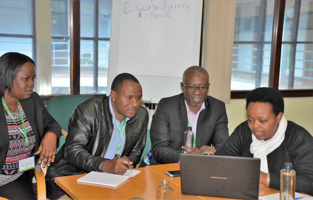 Delegates from Rwanda discuss the country's workplan at the 3-year MLN project review. (Photo: Joshua Masinde/CIMMYT)