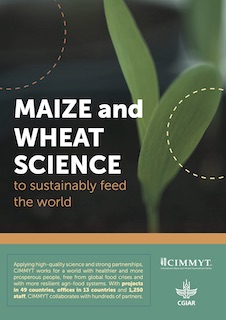 CIMMYT Brochure cover image