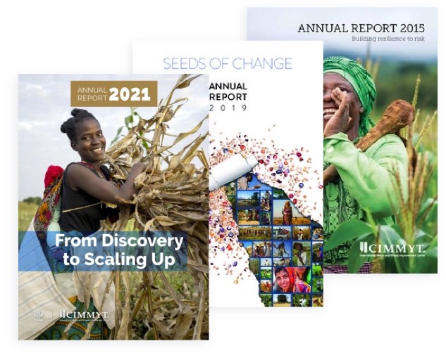 Annual Reports image
