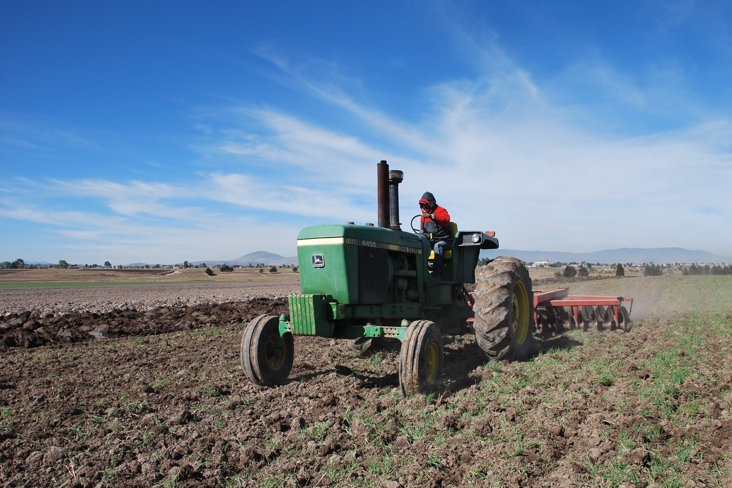 Background image for CIMMYT