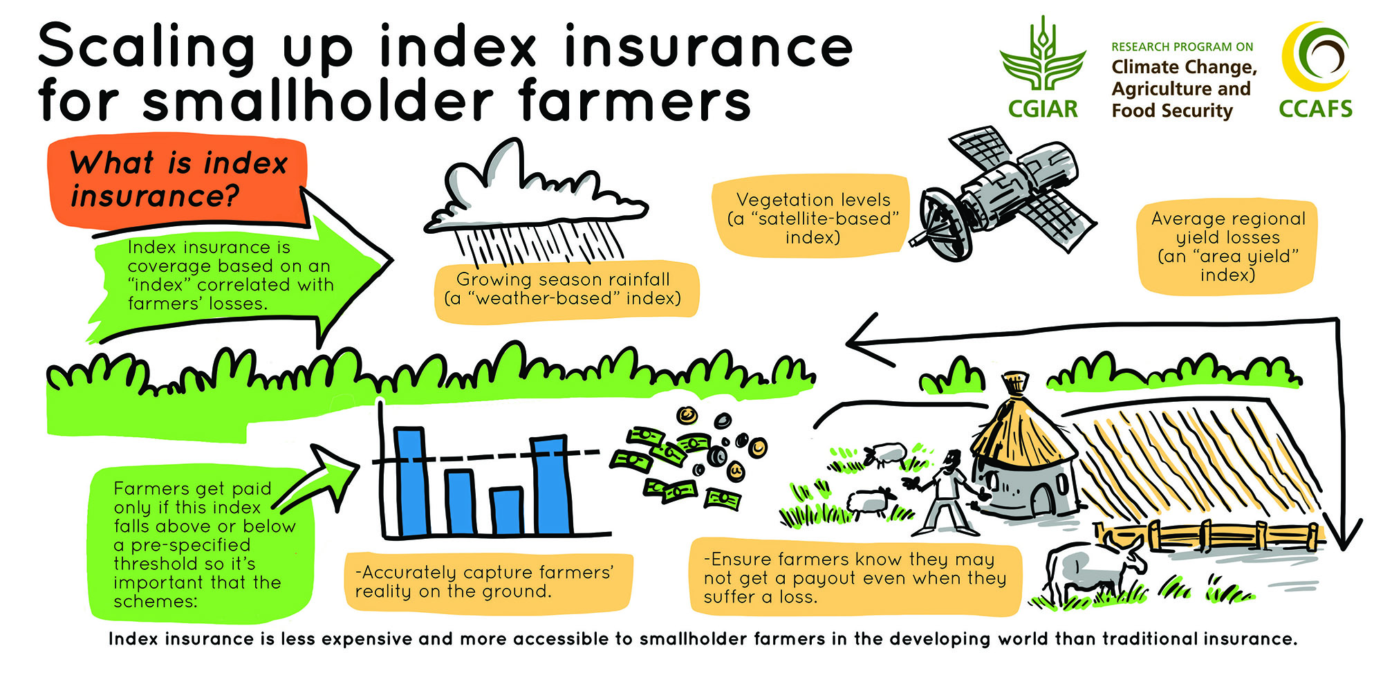 Index insurance to safeguard farmers from climate change CIMMYT