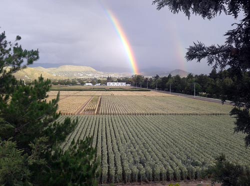 A rainbow appears over the fields at CIMMYT's global headquarters in Mexico. (Photo: H. Velazquez Miranda/CIMMYT)