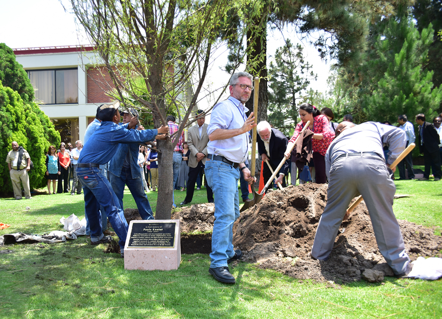 CIMMYT colleagues plant a tree in memory of Kantor. (Photo: C. Beaver/CIMMYT)