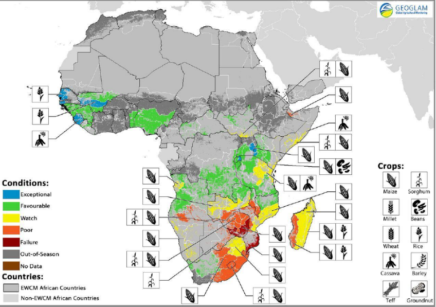 Crop conditions at a glance as of January 28. (Source: Geoglam Global Agricultural Monitoring)
