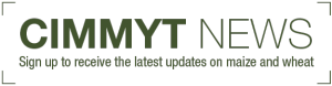 https://www.cimmyt.org/cimmytnews-subscription/