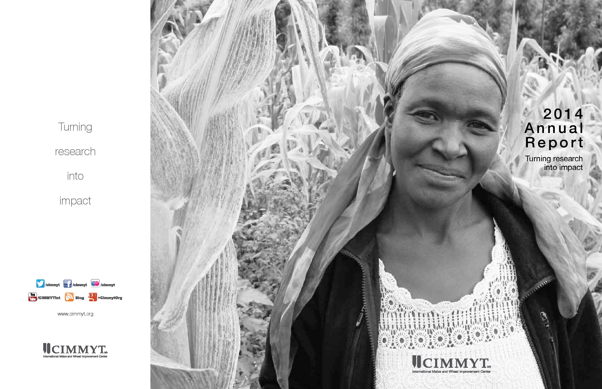 Background image for CIMMYT