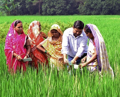 Farmers in a climate-smart village in Bihar use the leaf colour chart to judge the nitrogen content required for crops. Photo: V.Reddy, ViDocs, CCAFS.