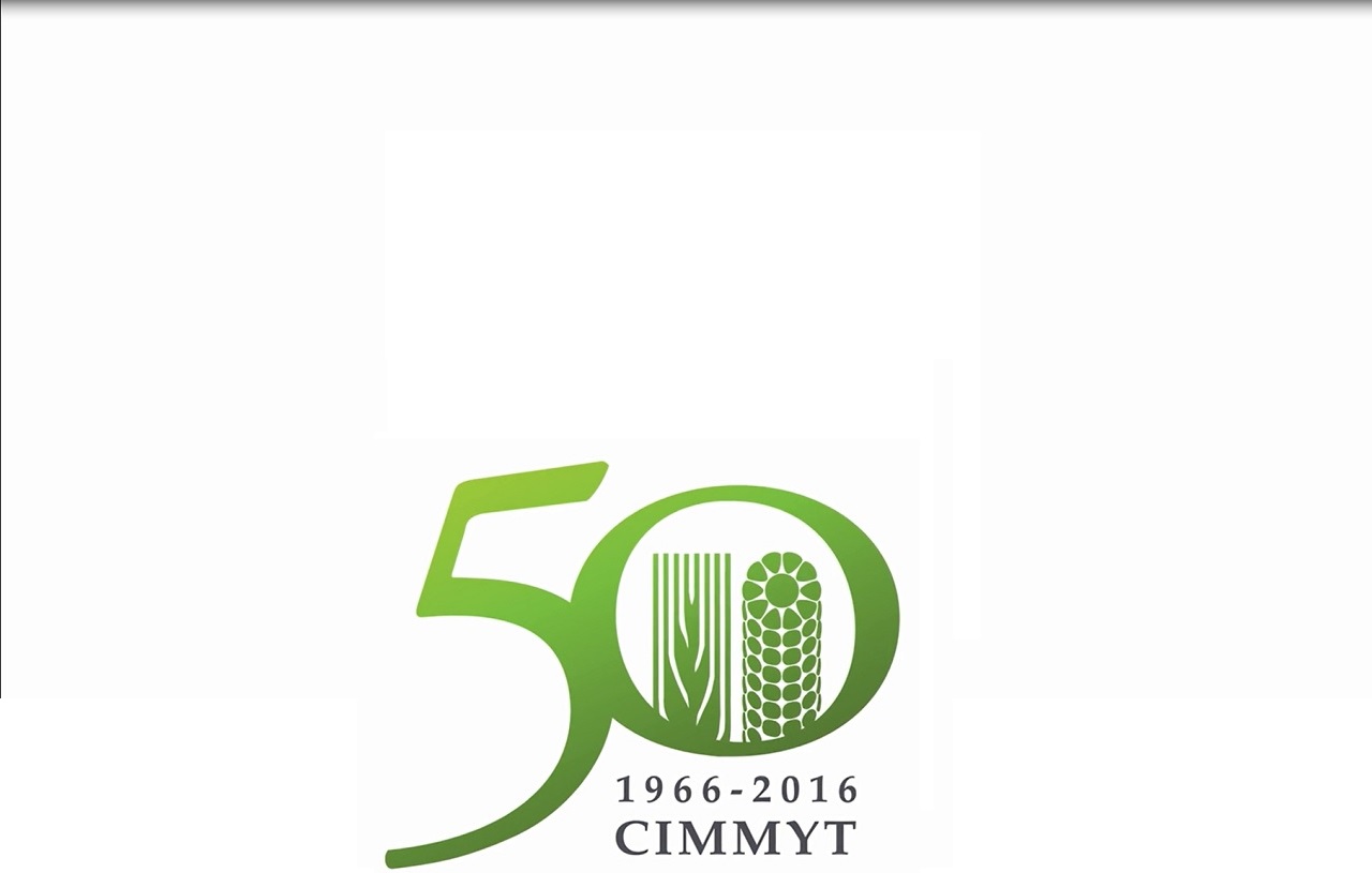 Background image for CIMMYT