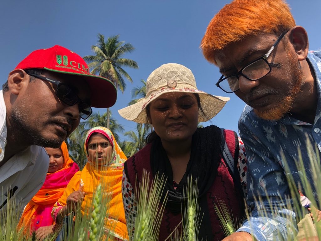 Researchers take part in Wheat Blast screening and surveillance course in Bangladesh. (Photo: CIMMYT/Tim Krupnik)