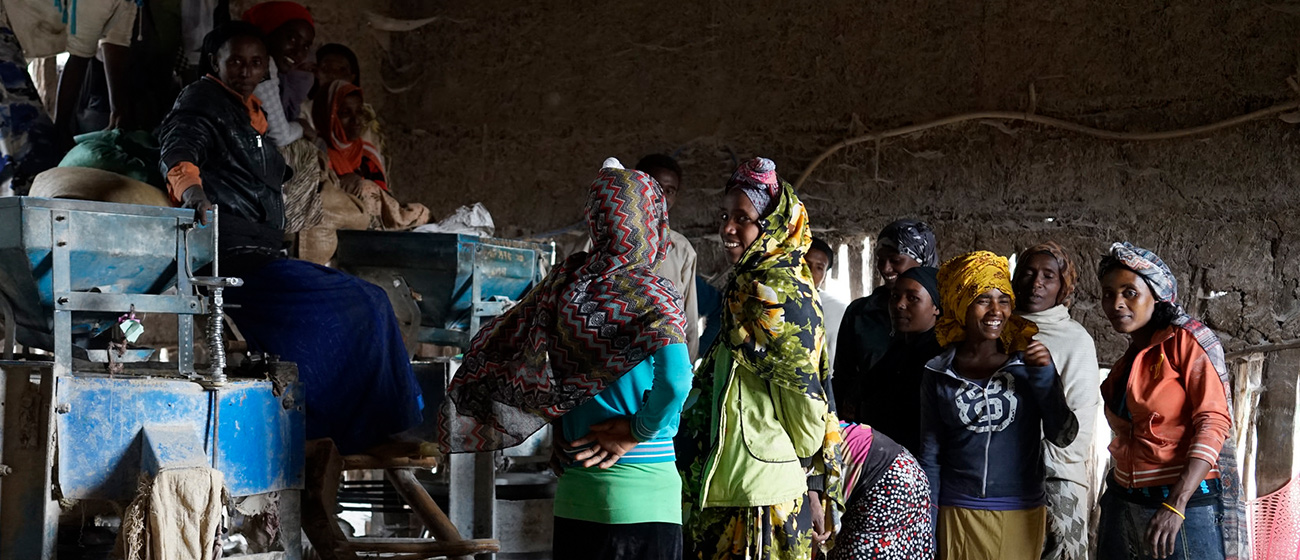 Women at a maize mill in Ethiopia. (Photo: P. Lowe/CIMMYT)