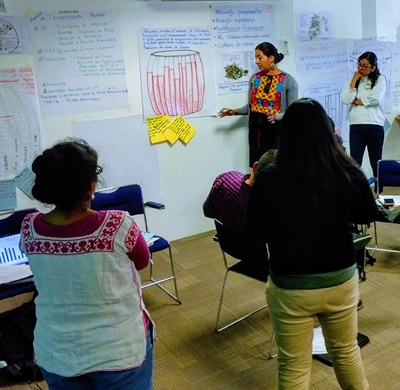 Agentes de extensión mexicanas utilizan el Scaling Scan. Foto: L.Woltering/CIMMYT.