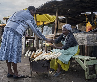 Una comerciante vende elotes asados junto a una carretera en Kenia. Foto: P.Lowe/CIMMYT.