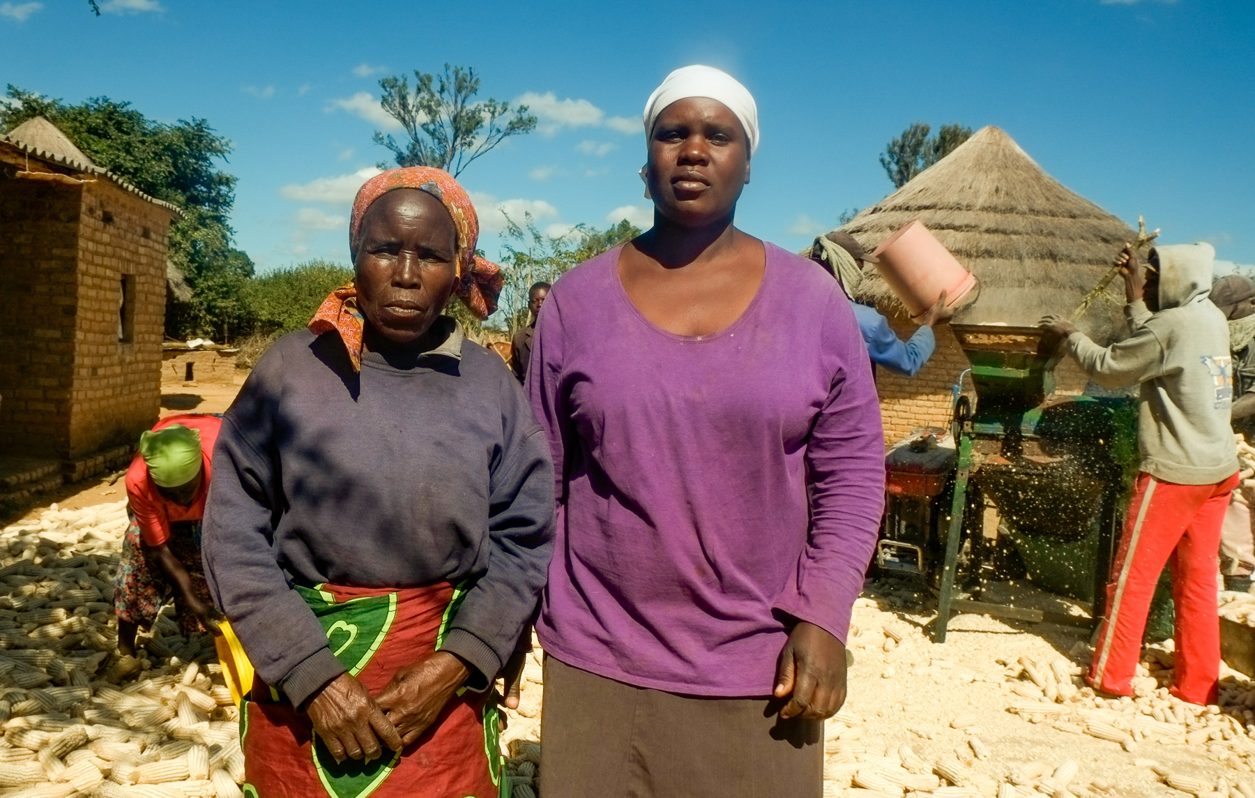 It used to take widowed farmer Loveness Karimuno (left) two or three weeks to shell her 20-ton maize harvest manually, even with the help of hired labor. Using mechanization services, all of her maize is shelled within a day, meaning she can take her grain to market faster. (Photo: Matthew O’Leary/CIMMYT)