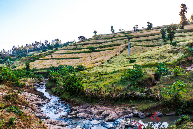 A farm landscape in Ethiopia. (Photo: Apollo Habtamu/ILRI)