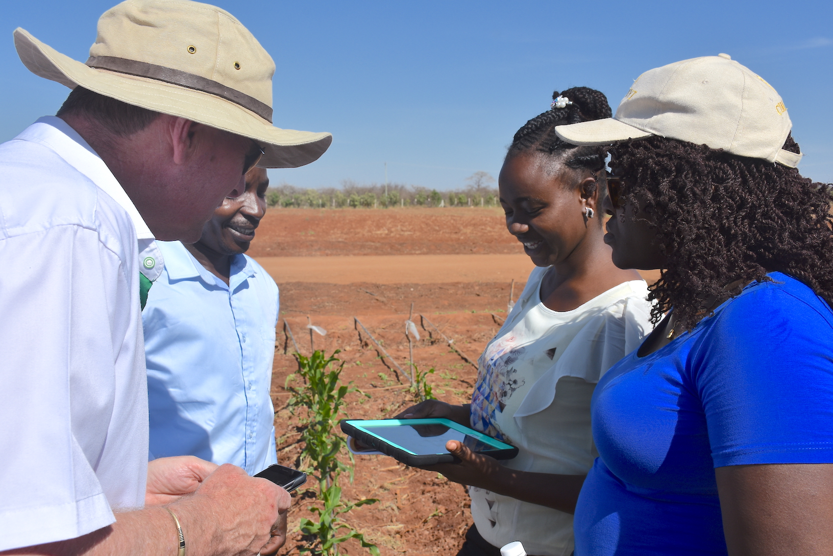 Partners test the SeedAssure app on a tablet during a field visit in Kiboko, Kenya. (Photo: Jerome Bossuet/CIMMYT)