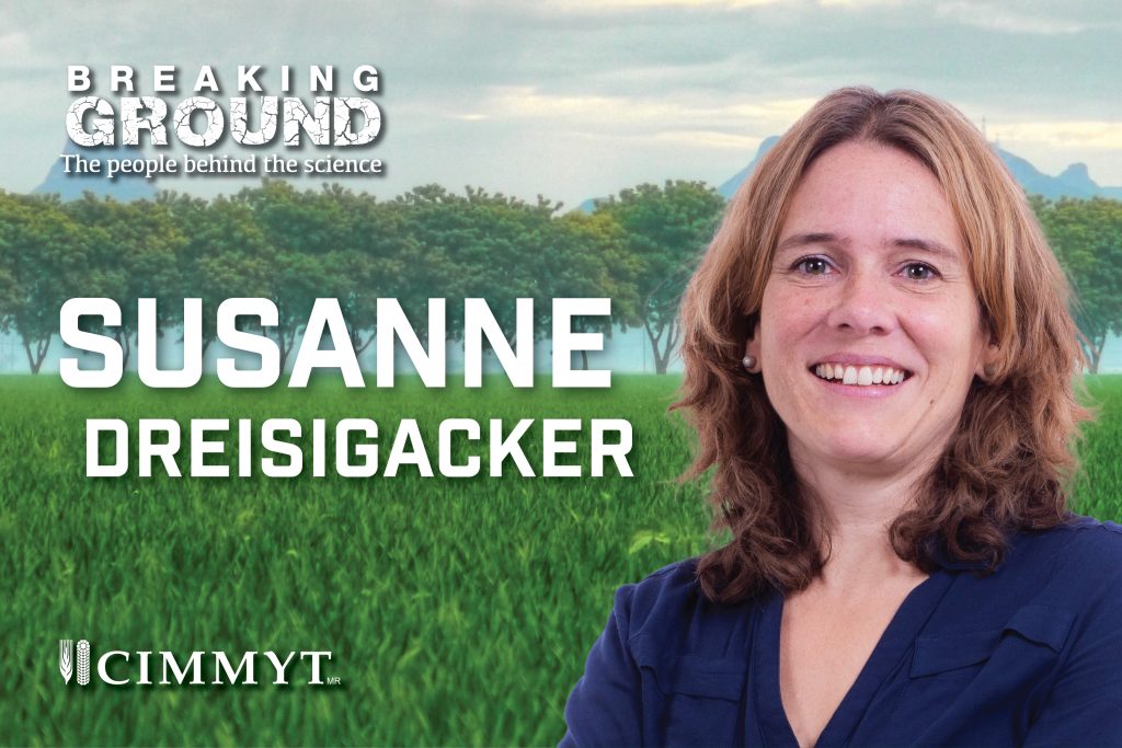 Breaking Ground: Susan Dreisigacker