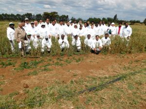 Participants of the wheat stem rust training pose for a group photograph. (Photo: KALRO)