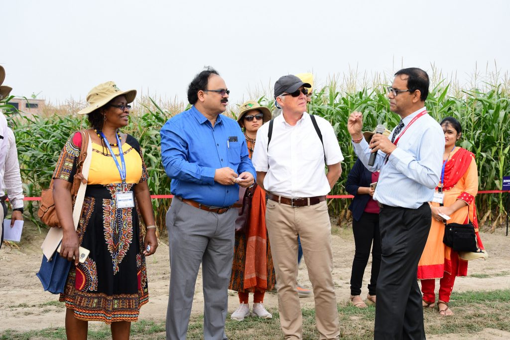 Participants listen to a briefing during the field visit of the 13th Asian Maize Conference, in Ludhiana, India. (Photo: Manjit Singh/Punjab Agricultural University)