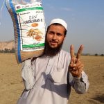 Munfiat, a farmer from Nowshera district, Khyber Pakhtunkhwa province, Pakistan, is happy to sow and share seed of the high-yielding, disease resistant Faisalabad-08 wheat variety. (Photo: Ansaar Ahmad/CIMMYT)