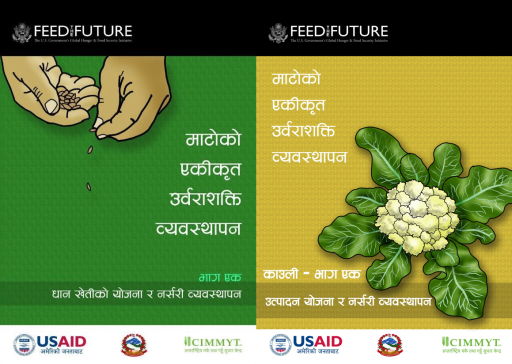 Agricultural extension materials on best management practices for rice (left) and cauliflower, developed by CIMMYT as part of the NSAF project. 