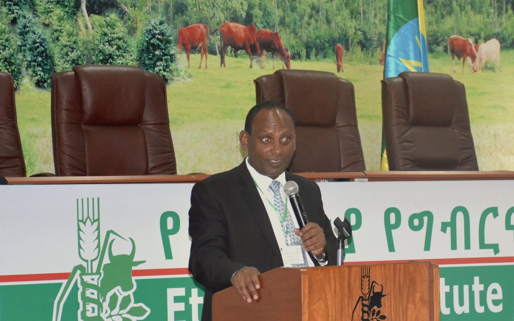 Ethiopia’s Minister of Agriculture and Natural Resources, Eyasu Abraha, welcomes conference participants. (Photo: Jérôme Bossuet/CIMMYT)