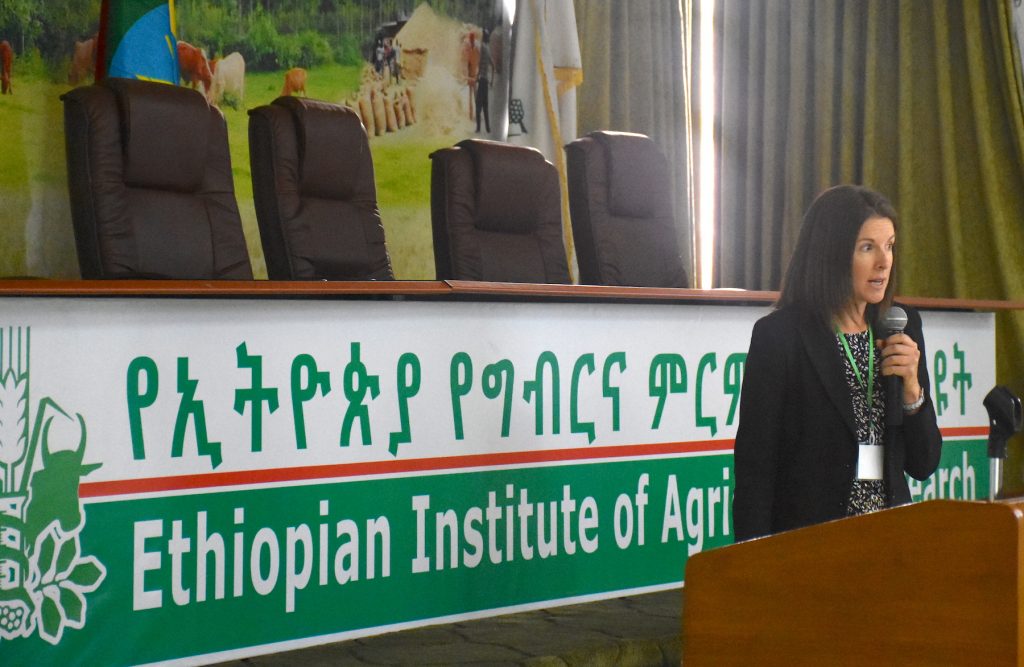 CIMMYT gender and development specialist Kristie Drucza talks about innovation barriers for female-headed households linked to gender norms in Ethiopia. (Photo: Jérôme Bossuet/CIMMYT)