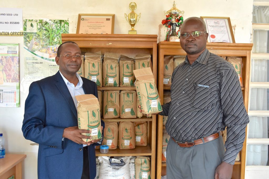 The managing director of Dryland Seed, Ngila Kimotho (left), shows packages of SAWA maize seeds at the company’s office. (Photo: Jerome Bossuet/CIMMYT)