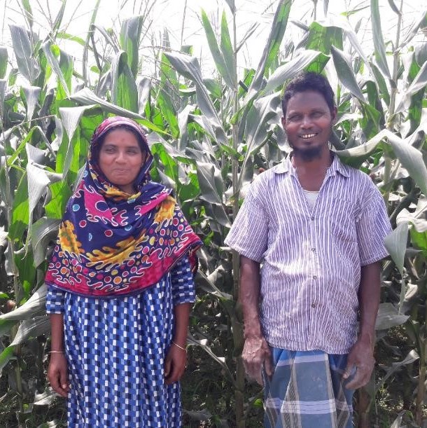 Anzuma Begam (left) and her husband, Hossain Ali, working together in their maize field.