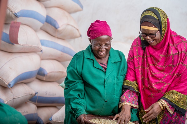 Zubeda Mduruma (right) and her colleague check maize seeds at Aminata Quality Seeds. (Photo: Lucy Maina/CIMMYT)
