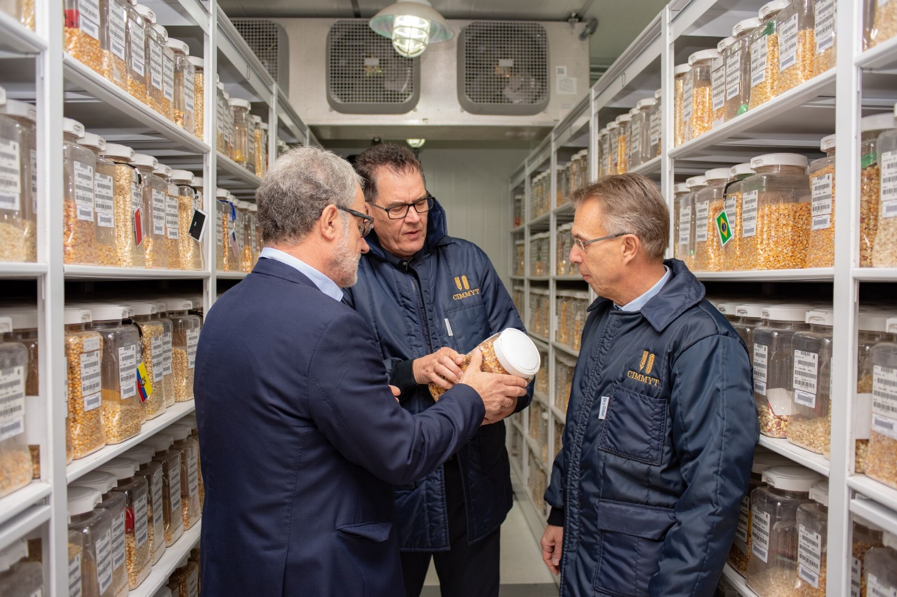 The director of CIMMYT’s Global Wheat Program, Hans Braun (left), shows one of the 28,000 unique maize seed varieties housed at CIMMYT’s genebank, the Wellhausen-Anderson Plant Genetic Resources Center. (Photo: Alfonso Cortés/CIMMYT)