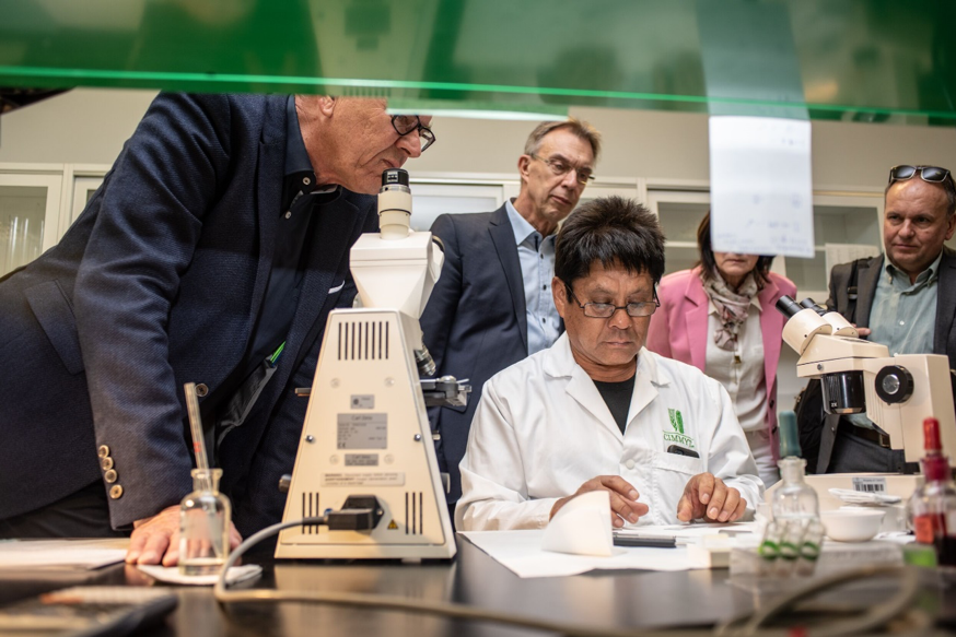 The German delegation watches the work of a lab technician counting wheat root chromosomes. (Photo: Alfonso Cortés/CIMMYT)