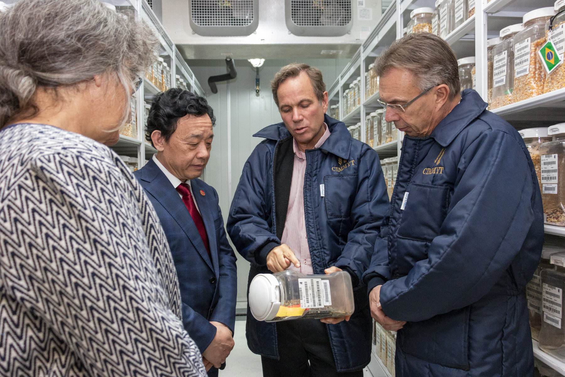 The director of CIMMYT’s Genetic Resources program, Kevin Pixley (third from left), shows one of the 28,000 unique maize seed varieties housed at CIMMYT’s genebank, the Wellhausen-Anderson Plant Genetic Resources Center. (Photo: Gerardo Mejía/CIMMYT)