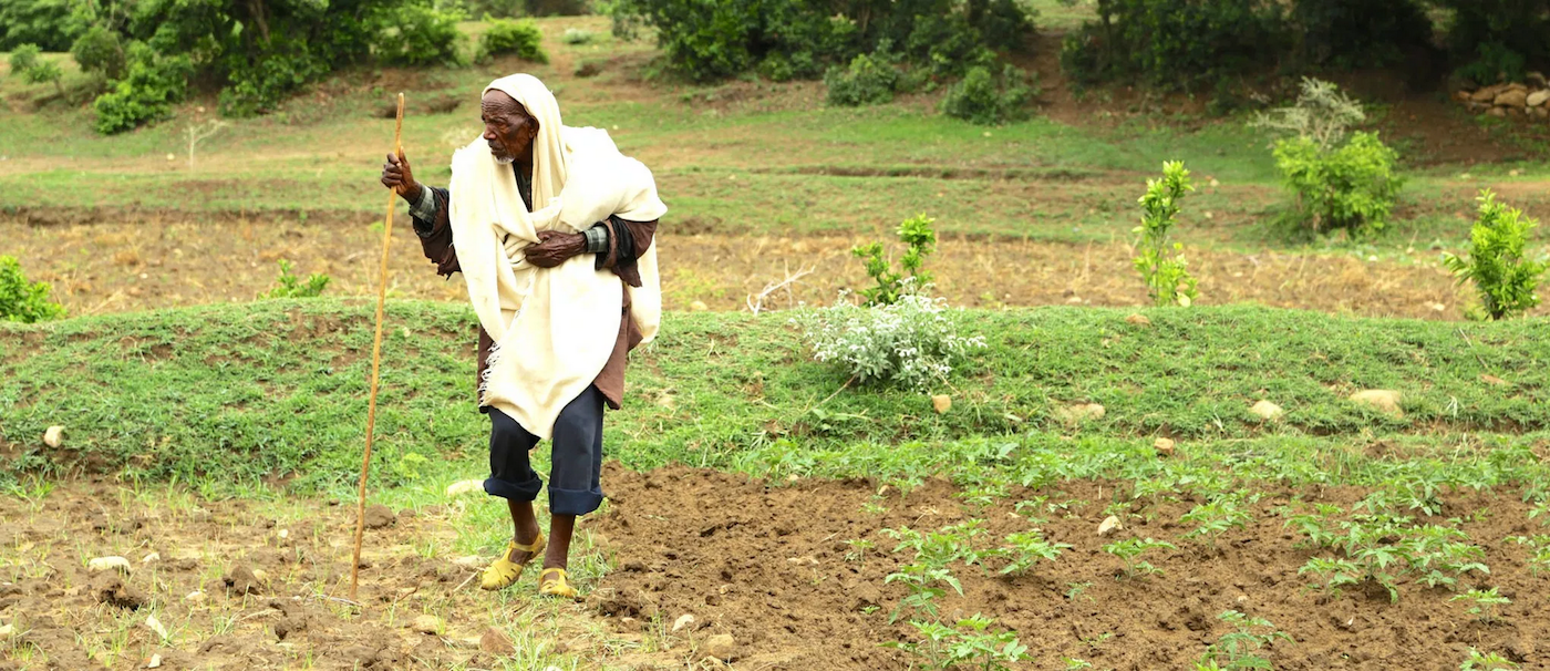 Recent research in Southern Ethiopia found that agricultural areas with the highest tree cover also experienced the most productivity in crop, feed and fuel. (Photo: Mokhamad Edliadi/CIFOR)