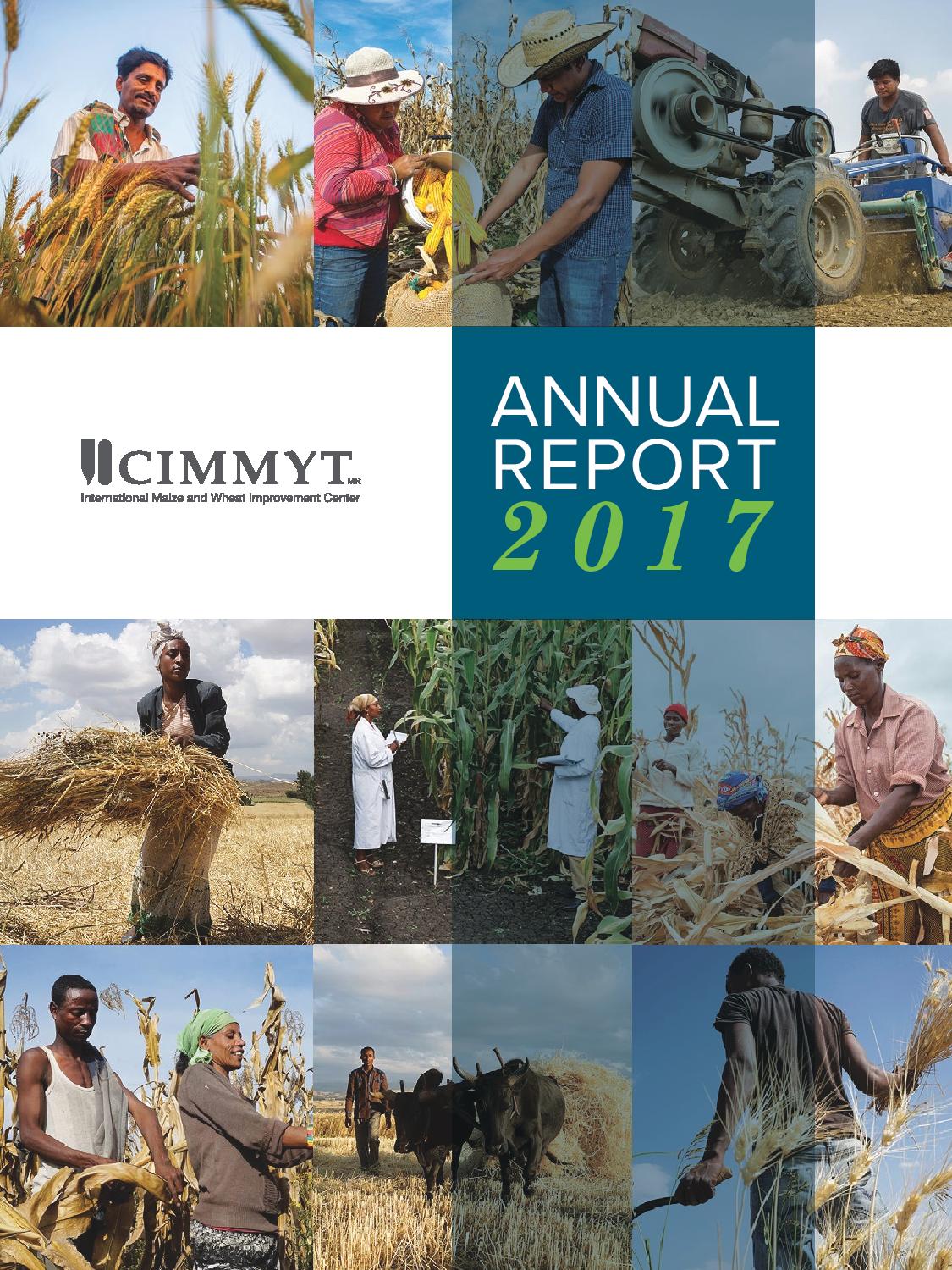 Background image for CIMMYT