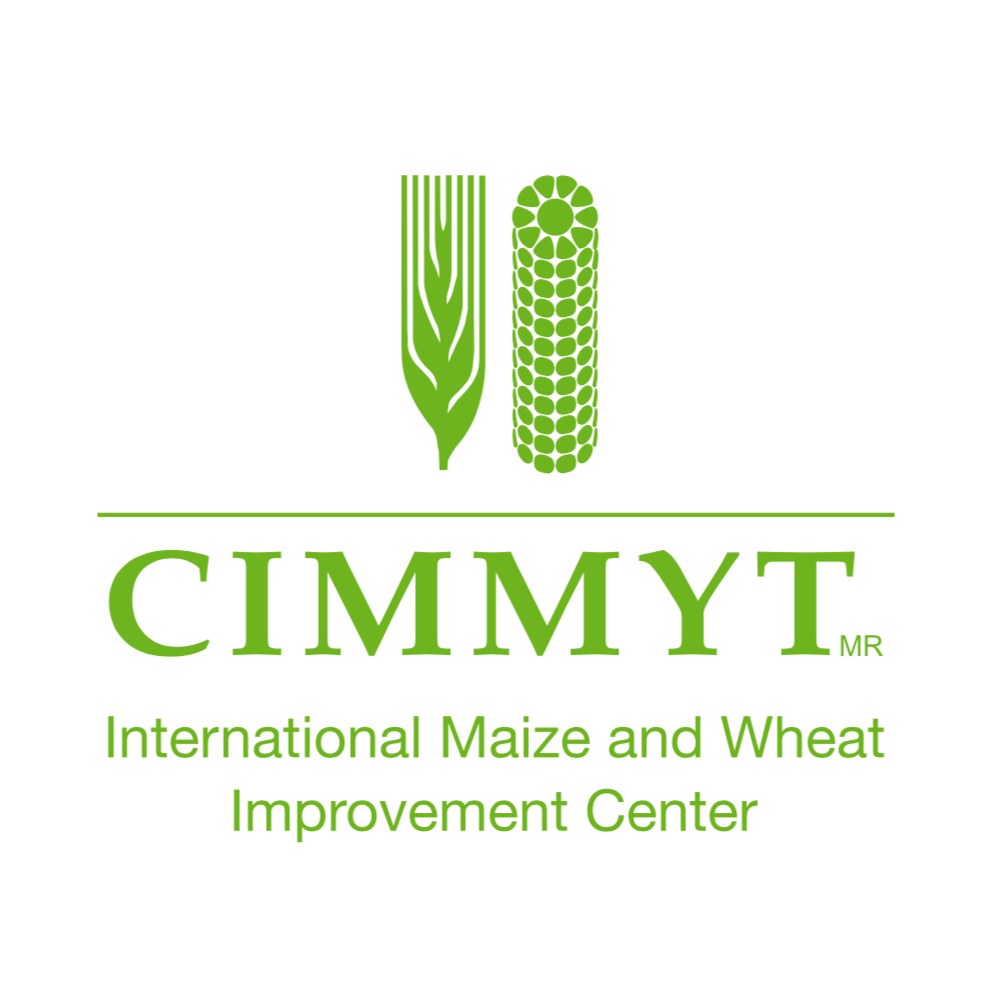 (c) Cimmyt.org