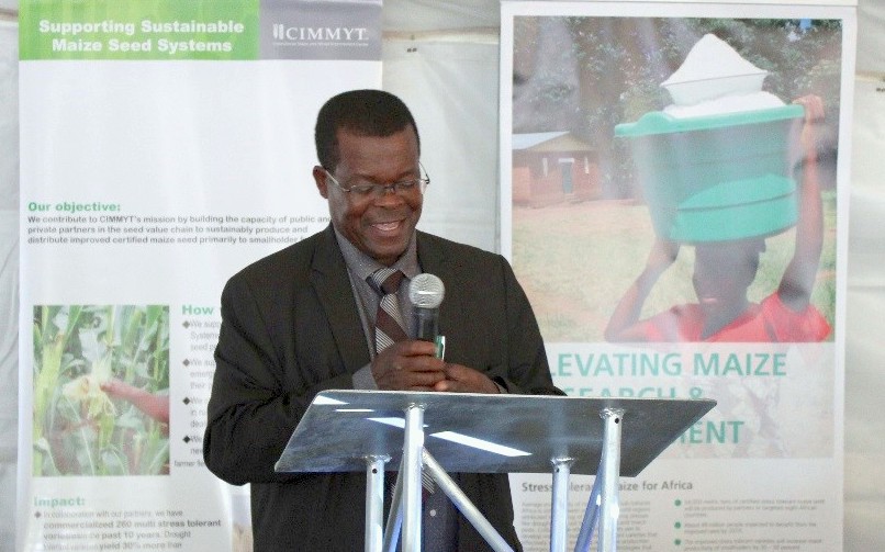 The director of Zimbabwe's Department of Research and Specialist Services, Cames Mguni, gives official remarks during the CIMMYT field day. (Photo: Catherine Magada/CIMMYT)